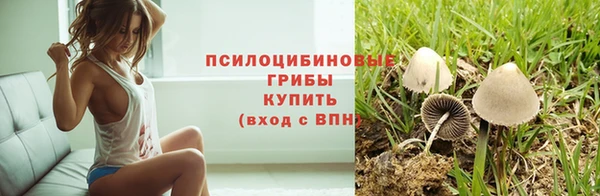 хмурый Тобольск