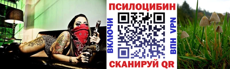 Галлюциногенные грибы Psilocybe  мега ONION  Любим 